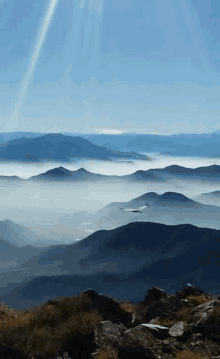 a bird is flying over a foggy mountain range