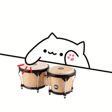 a drawing of a cat playing a pair of meinl bongos