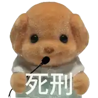 a teddy bear with a microphone in its mouth and chinese writing on it