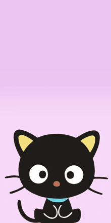 a black cat with white eyes and a blue collar on a pink background