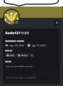 a screenshot of the aedo12 # 5199 discord account