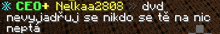 a screenshot of a video game with the words ceo + nelkaa2800