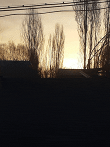 a sunset with trees in the foreground and a roof in the background