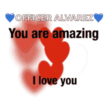 a poster that says " officer alvarez you are amazing " and " i love you "