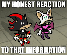 shadow the hedgehog and rouge the bat are standing next to each other and the caption says my honest reaction to that information