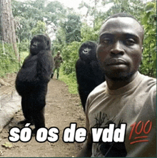 a man taking a selfie with two gorillas and the words so os de vdd 100 on the bottom