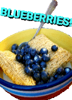 a bowl of cereal with blueberries and a spoon that says " blueberries "