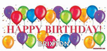 a birthday banner with balloons and the name brixton