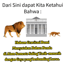 a picture of a lion and a cat with the caption dari sini dapat kita ketahui