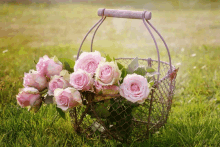 a basket filled with pink roses is sitting on the grass