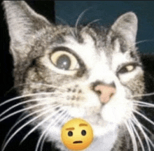 a close up of a cat 's face with a smiley face in its mouth .