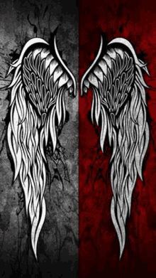 a pair of white angel wings on a red and black background .