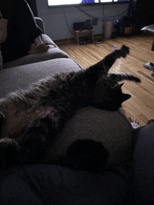 a cat laying on its back on a grey couch