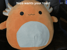 a stuffed animal with the words " nico wants your toast " on it