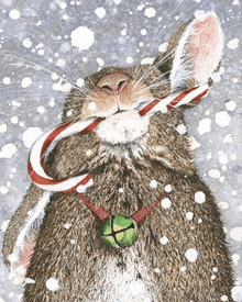 a rabbit is holding a candy cane in its mouth and wearing a bell around its neck .