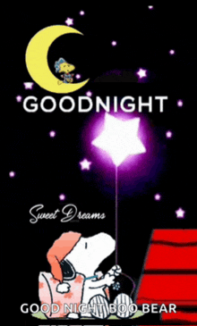 snoopy is holding a star in his hand and says goodnight sweet dreams and good night boo bear .