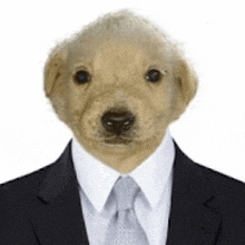 a dog wearing a suit and tie with a human head .