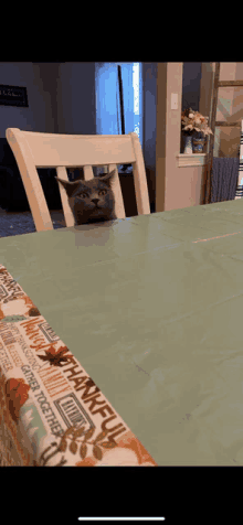 a cat sitting in a chair behind a table with a thankful table cloth