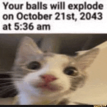 You Balls Will Explode Meme