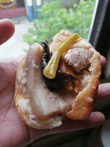 a person is holding a sandwich with meat and pickles