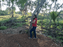 a woman in a red shirt leans against a tree in the woods