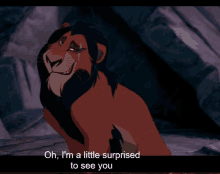 scar from the lion king says " oh i 'm a little surprised to see you " while smiling