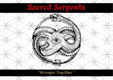 a poster for sacred serpents shows a snake with an eye on it