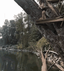 a woman stands on a wooden platform in a tree overlooking a body of water with the word failard below her