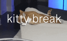 a cat is laying on a bed with the words kitty break written above it