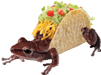 a frog is holding a taco with lettuce cheese and tomatoes