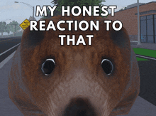 a picture of a bear with the words " my honest reaction to that " above it