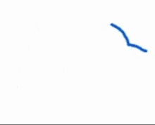 a blue dolphin is jumping in the air on a white background