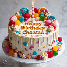 a birthday cake that says happy birthday chantal with candy and sprinkles