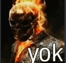 a close up of a ghost rider with flames coming out of his mouth and says yok .