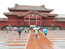 a group of people with umbrellas are walking in front of a red building