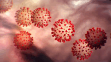 a computer generated image of a group of coronavirus cells .