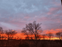 a sunset with trees in the foreground