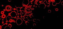 a black background with red circles and swirls on it