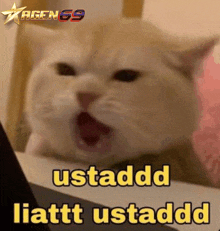 a cat with its mouth open and the words ustadd liatt ustadd on the bottom