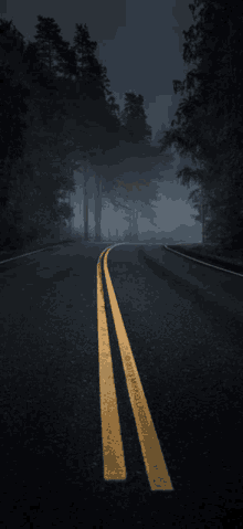 a dark road with the words data management written on the side