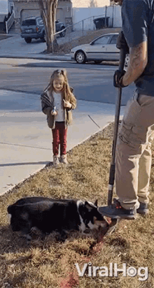 a little girl is standing next to a man digging a hole for a dog that is laying in the grass