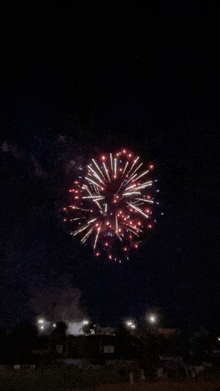 a fireworks display is going off in the dark sky