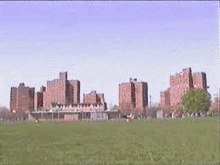 a row of tall brick buildings are lined up in a field .