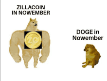 a picture of a doge holding a zillacoin coin