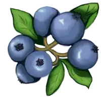 a bunch of blueberries with green leaves on them