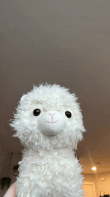 a person is holding a white stuffed animal that looks like a llama