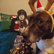 a dog wearing a reindeer headband is looking at a pillow that says waiting santa paws