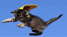 a kitten wearing a yellow cape is flying in the air