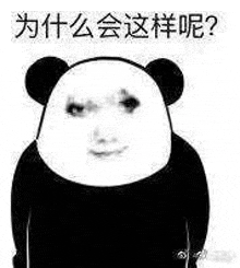 a panda bear is making a funny face in chinese .