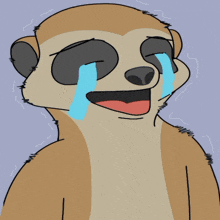 a drawing of a meerkat with tears running down its face